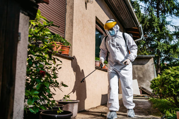 Best Pest Prevention Services  in Jackson, GA