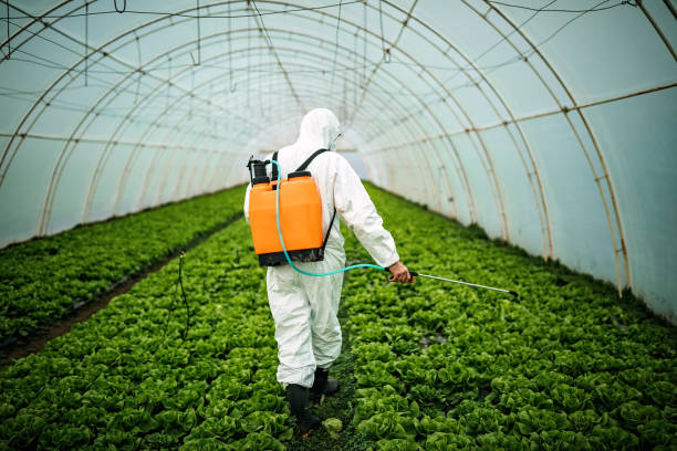 Best Pest Removal Services  in Jackson, GA