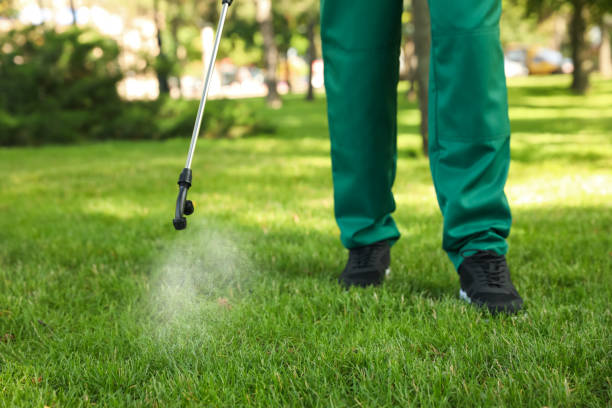 Best Termite Control Services  in Jackson, GA