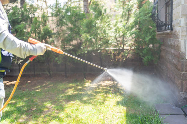 Best Local Pest Control Services  in Jackson, GA
