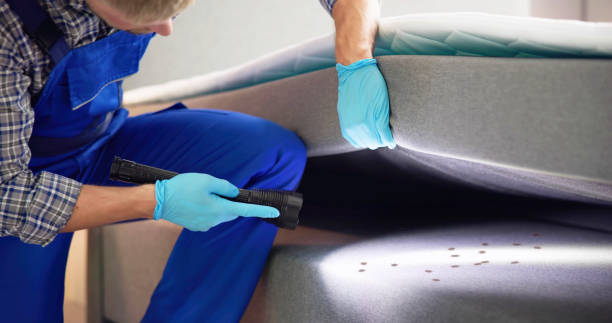 Professional Pest Control in Jackson, GA