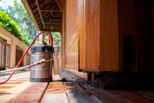 Best Pest Removal Services  in Jackson, GA