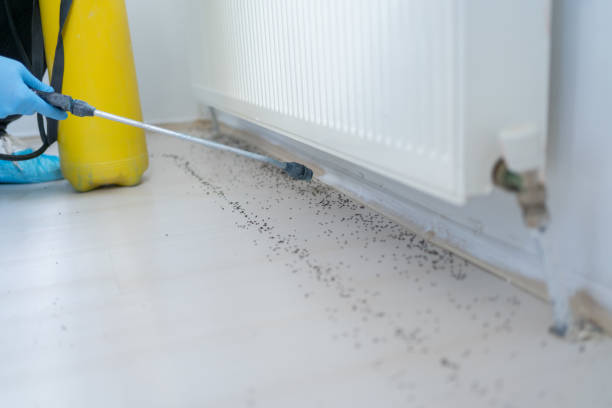 Best Emergency Pest Control  in Jackson, GA