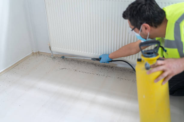Best Pest Control for Homes  in Jackson, GA